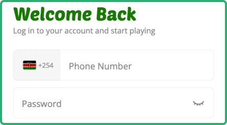 Enter your login credentials